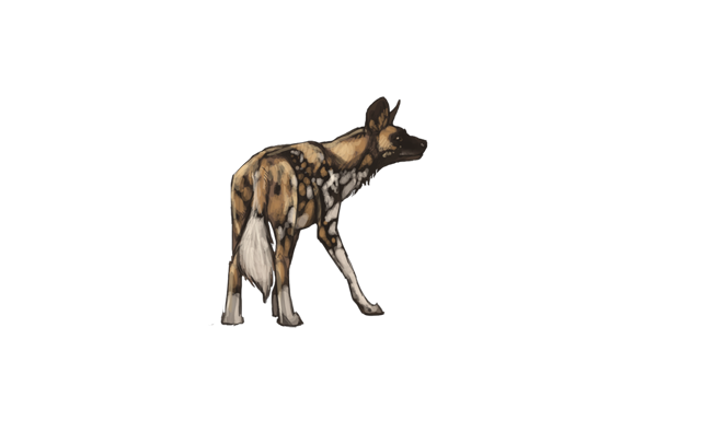 wild-dog icon gallery